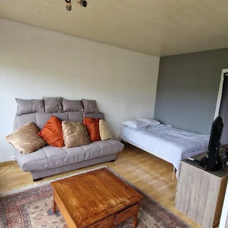 Le Nemours Apartment Thonon-les-Bains